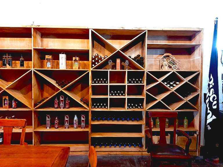 2023042223304_171417