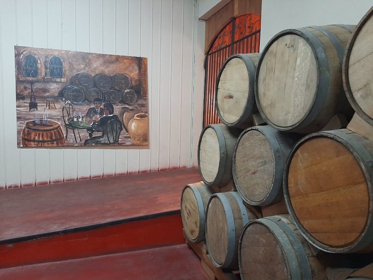 dCCP20230404_171227 (1)