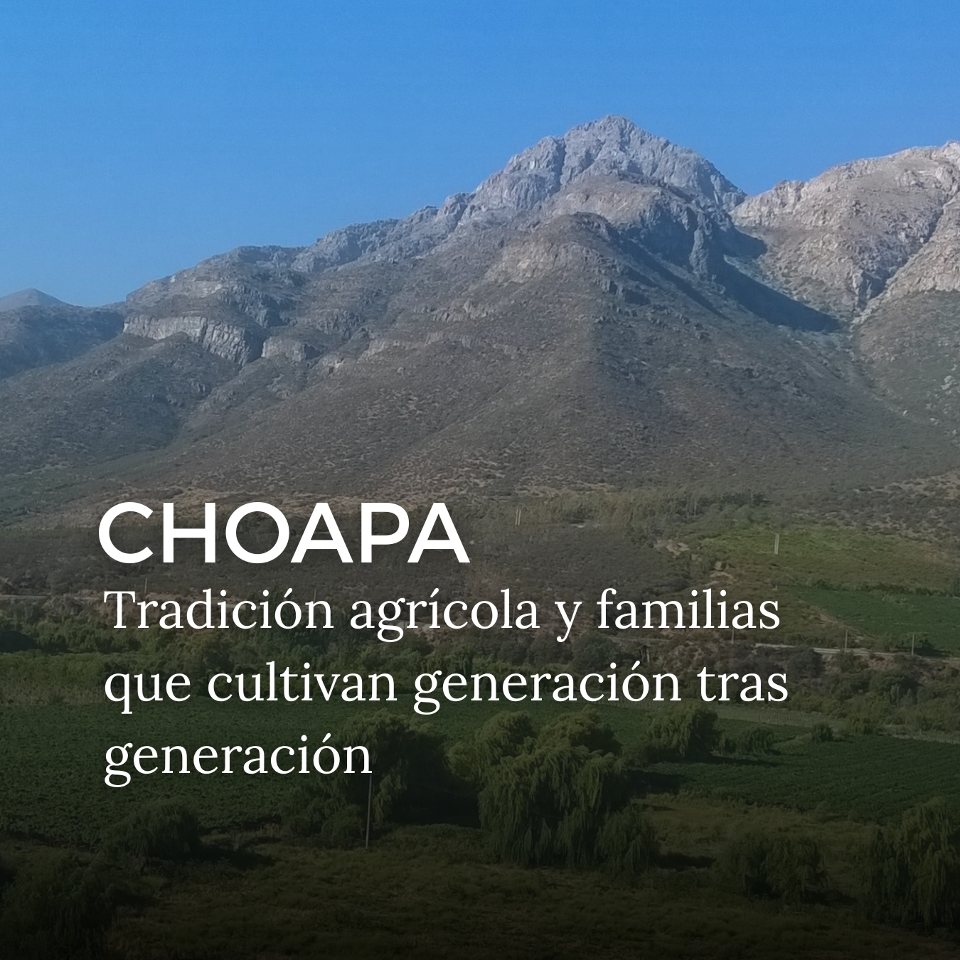 Conoce Nuestros Productos (1)