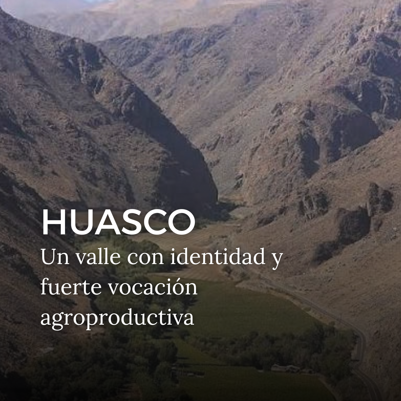 Conoce Nuestros Productos (2)
