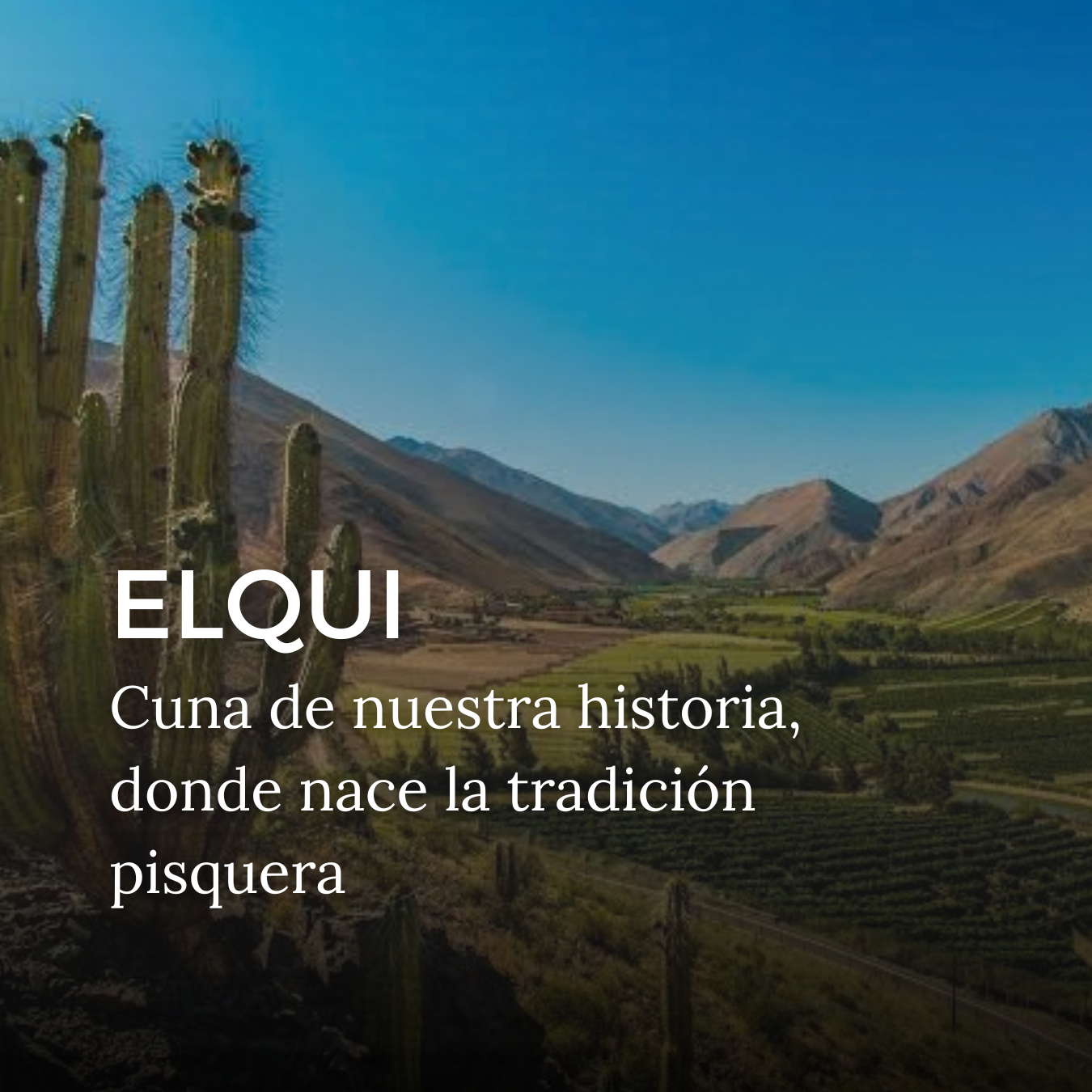 Conoce Nuestros Productos